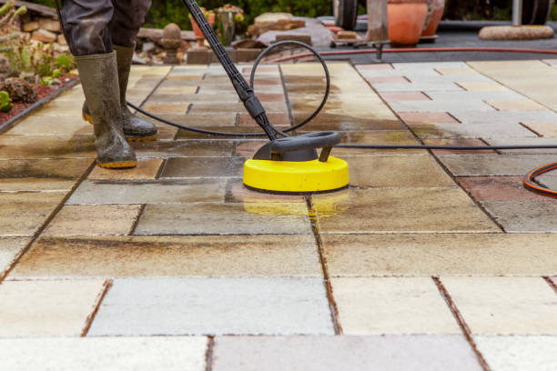Best Gutter Cleaning  in Troy, MI